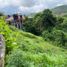  Land for sale in San Luis, Antioquia, San Luis