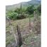  Land for sale in Valle Del Cauca, El Cerrito, Valle Del Cauca