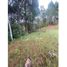  Land for sale in Rionegro, Antioquia, Rionegro