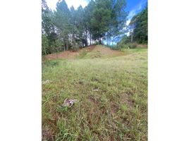  Land for sale in Rionegro, Antioquia, Rionegro