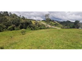  Terreno (Parcela) en venta en Retiro, Antioquia, Retiro