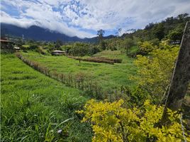  Terreno (Parcela) en venta en San Antonio Del Tequendama, Cundinamarca, San Antonio Del Tequendama