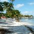  토지을(를) Isla Mujeres, Quintana Roo에서 판매합니다., Isla Mujeres