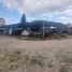 在Irapuato, Guanajuato出售的 土地, Irapuato