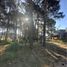  Land for sale in Pinamar, Buenos Aires, Pinamar