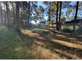  Land for sale in Pinamar, Buenos Aires, Pinamar