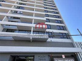 Studio Apartment for rent in Chile, Antofagasta, Antofagasta, Antofagasta, Chile