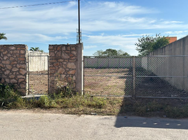 Terrain à vendre à Conkal, Yucatan, Conkal