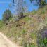  Terreno (Parcela) en venta en Rio Negro, Bariloche, Rio Negro