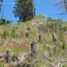  Land for sale in Rio Negro, Bariloche, Rio Negro