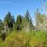  Land for sale in Rio Negro, Bariloche, Rio Negro