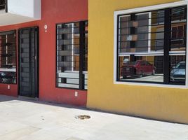 2 Bedroom Condo for rent in Zapopan, Jalisco, Zapopan