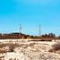  Land for sale in Comondu, Baja California Sur, Comondu