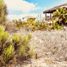  Land for sale in Comondu, Baja California Sur, Comondu