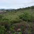 Land for sale in Morelia, Michoacan, Morelia, Michoacan