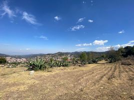  Grundstück zu verkaufen in Pachuca De Soto, Hidalgo, Pachuca De Soto