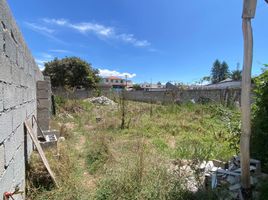  Terreno (Parcela) en alquiler en Pichincha, Tumbaco, Quito, Pichincha