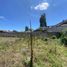  Terreno (Parcela) en alquiler en Pichincha, Tumbaco, Quito, Pichincha