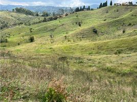  Terreno (Parcela) en venta en Guarne, Antioquia, Guarne, Antioquia, Colombia