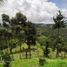 Maison 5 chambre à vendre à Retiro, Antioquia, Retiro