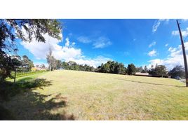 Terrain à vendre à Envigado, Antioquia, Envigado