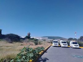  Land for rent in Irapuato, Guanajuato, Irapuato, Guanajuato