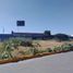  Land for rent in Irapuato, Guanajuato, Irapuato, Guanajuato