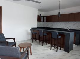 1 Bedroom Apartment for rent in Merida, Yucatan, Merida, Yucatan