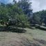 Terrain à vendre à Manizales, Caldas, Manizales, Caldas, Colombie