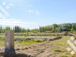  Terreno (Parcela) en venta en Confluencia, Neuquen, Confluencia