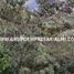  Land for sale in Medellin, Antioquia, Medellin, Antioquia