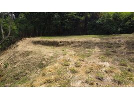  Land for sale in Manizales, Caldas, Manizales