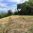  Land for sale in Manizales, Caldas, Manizales