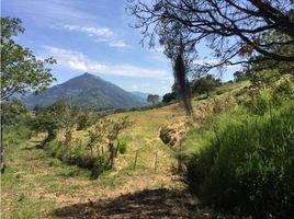  Terreno (Parcela) en venta en Fredonia, Antioquia, Fredonia