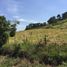  Terrain for sale in Fredonia, Antioquia, Fredonia