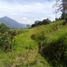  Land for sale in Fredonia, Antioquia, Fredonia