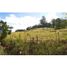  Land for sale in Fredonia, Antioquia, Fredonia