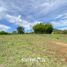  Land for sale in Marinilla, Antioquia, Marinilla