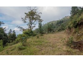  Terreno (Parcela) en venta en Envigado, Antioquia, Envigado