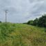  Terreno (Parcela) en venta en Carmen, Campeche, Carmen, Campeche