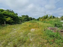  Terreno (Parcela) en venta en Carmen, Campeche, Carmen, Campeche