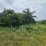  Terreno (Parcela) en venta en Carmen, Campeche, Carmen, Campeche