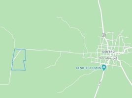 在Hocaba, Yucatan出售的 土地, Hocaba