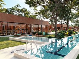 在Progreso, Yucatan出售的 土地, Progreso