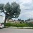  Land for sale in San Lucas, Michoacan, San Lucas