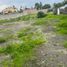 Land for sale in San Lucas, Michoacan, San Lucas
