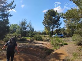  Terrain for sale in Linares, Maule, Parral, Linares