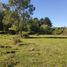  Land for sale in Pitrufquen, Araucania, Pitrufquen