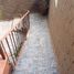 3 Bedroom House for sale in Tapalpa, Jalisco, Tapalpa