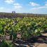  Terreno (Parcela) en venta en Mar Chiquita, Buenos Aires, Mar Chiquita, Buenos Aires, Argentina